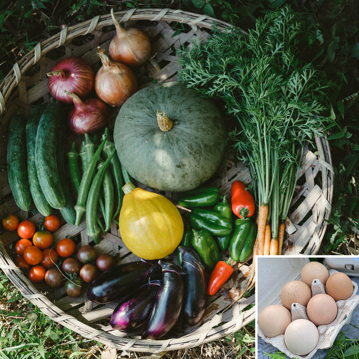 【2025年6月~発送・ご予約受付中】自然のまんまの野菜セットMサイズと平飼い卵