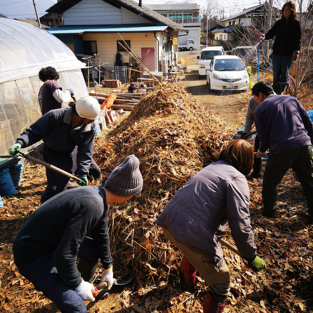 踏み込み温床づくり