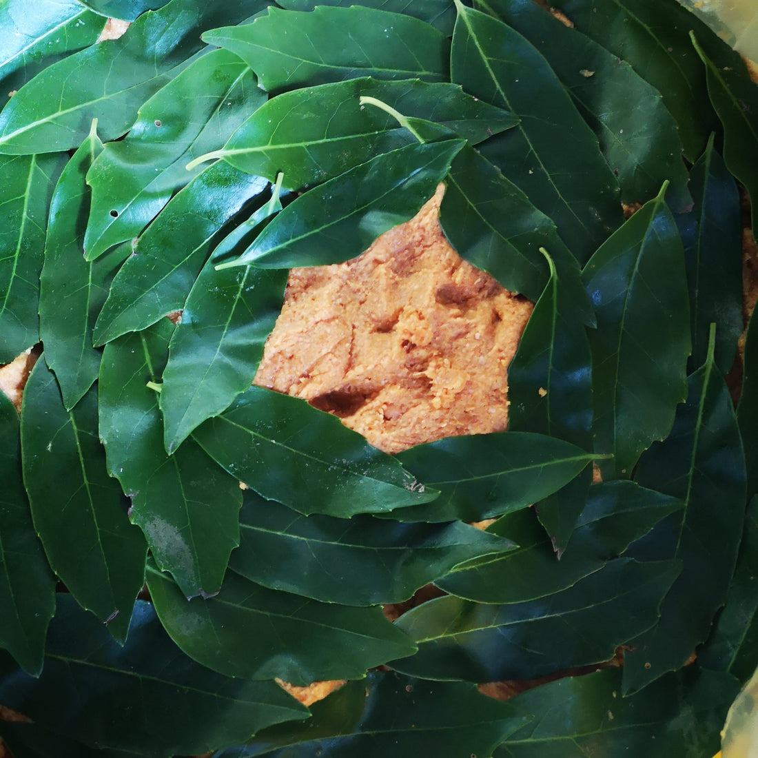 手前味噌を仕込みました