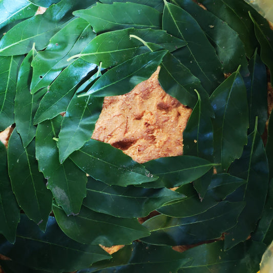 手前味噌を仕込みました