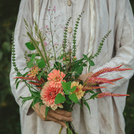 2026年の花のシーズンがはじまりました。