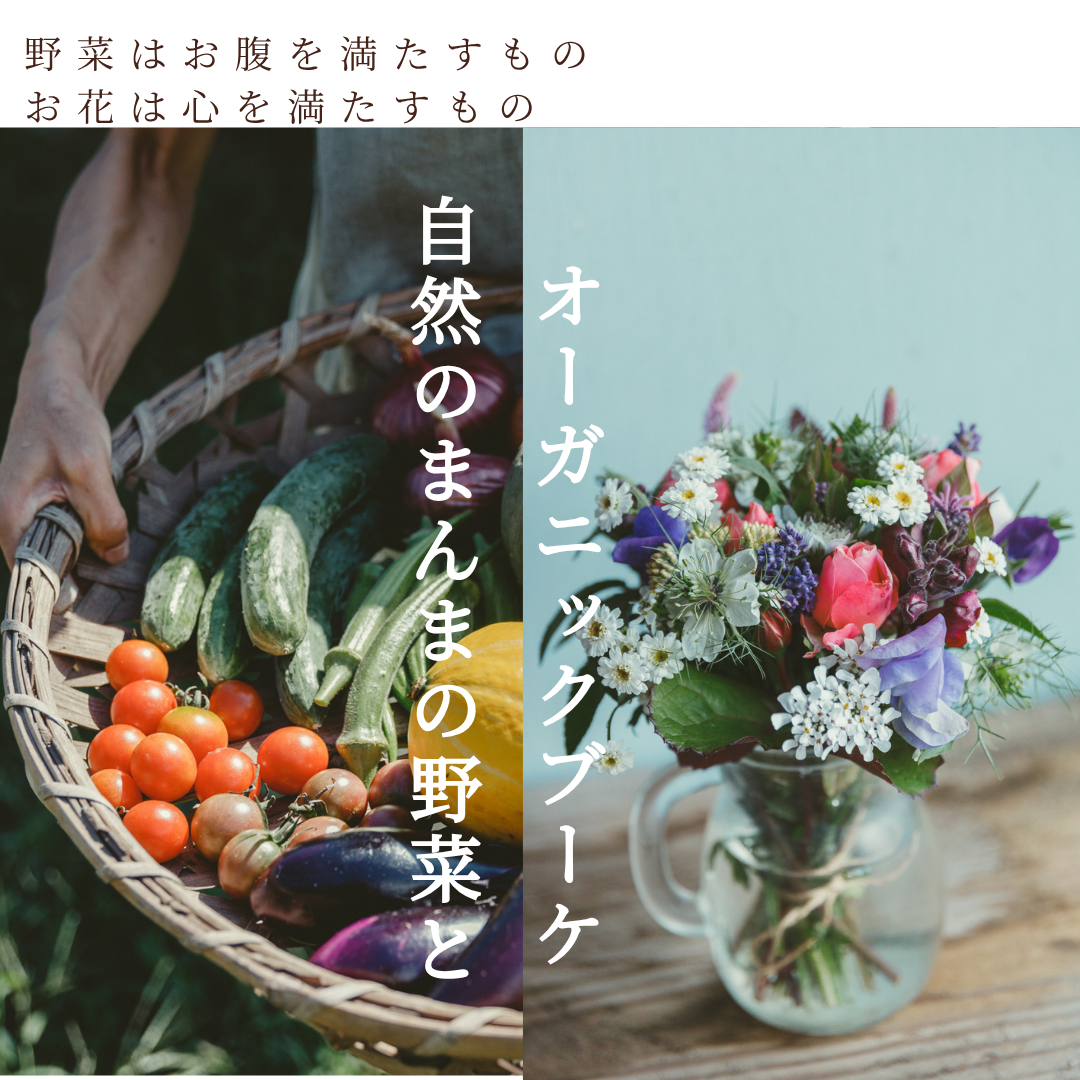 自然のまんまの野菜セットLサイズとオーガニックガーデンブーケMサイズ