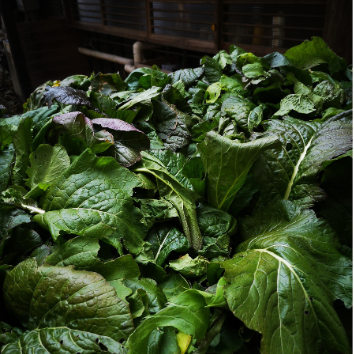 野沢菜漬け本漬け塩漬け醤油漬け無添加オーガニック有機自然栽培無農薬無化学肥料漬物農産加工品小規模農家北杜市山梨