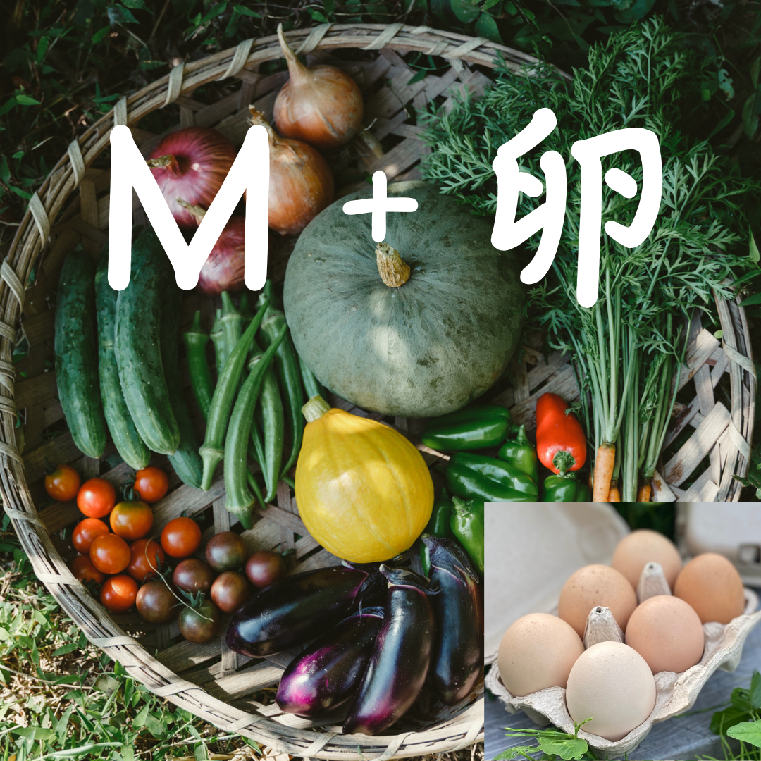 【2025年6月～発送・ご注文受付中】自然のまんまの野菜セットMサイズと平飼い卵