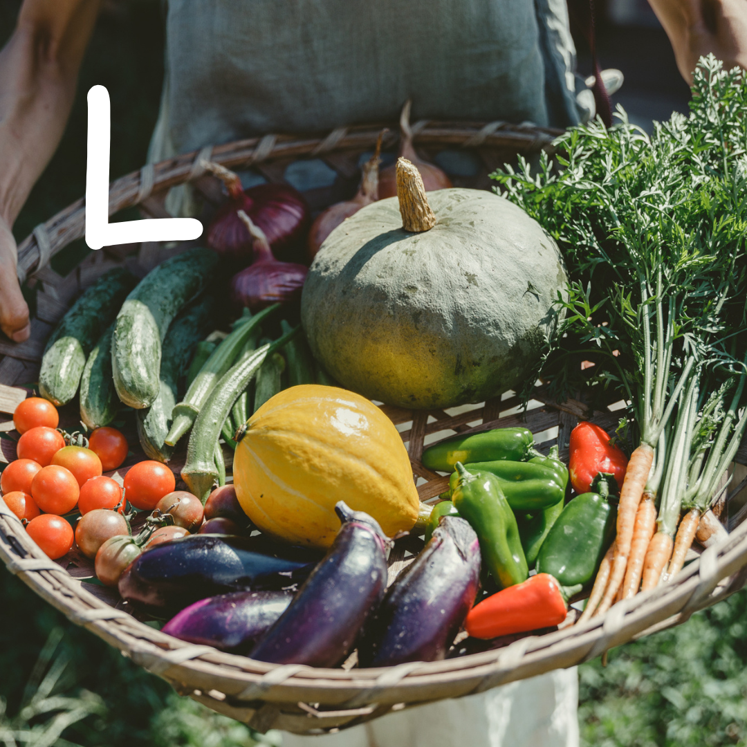 2026年6月～発送・ご予約受付中】自然のまんまの野菜セットLサイズ