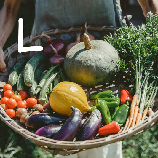 【2025年6月～発送・ご予約受付中】自然のまんまの野菜セットLサイズ