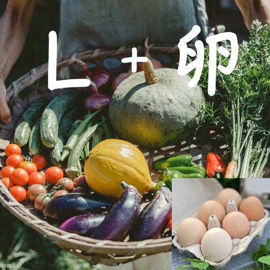 【2025年6月～発送・ご予約受付中】自然のまんまの野菜セットLサイズと平飼い卵
