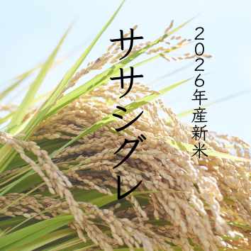 雨土人のお米｜2026年産ササシグレ