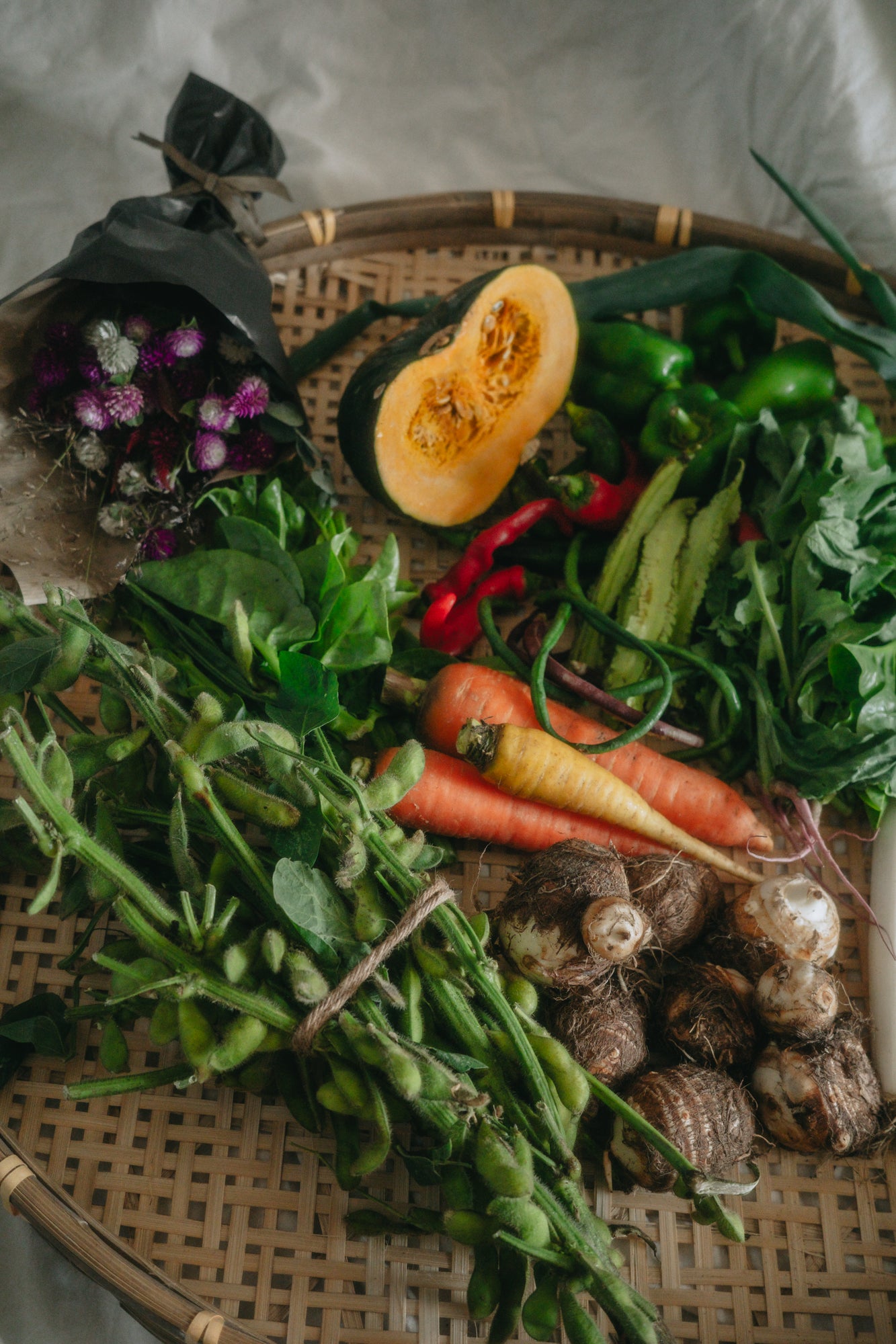 【2026年6月～発送・ご予約受付中】自然のまんまの野菜セットMサイズ