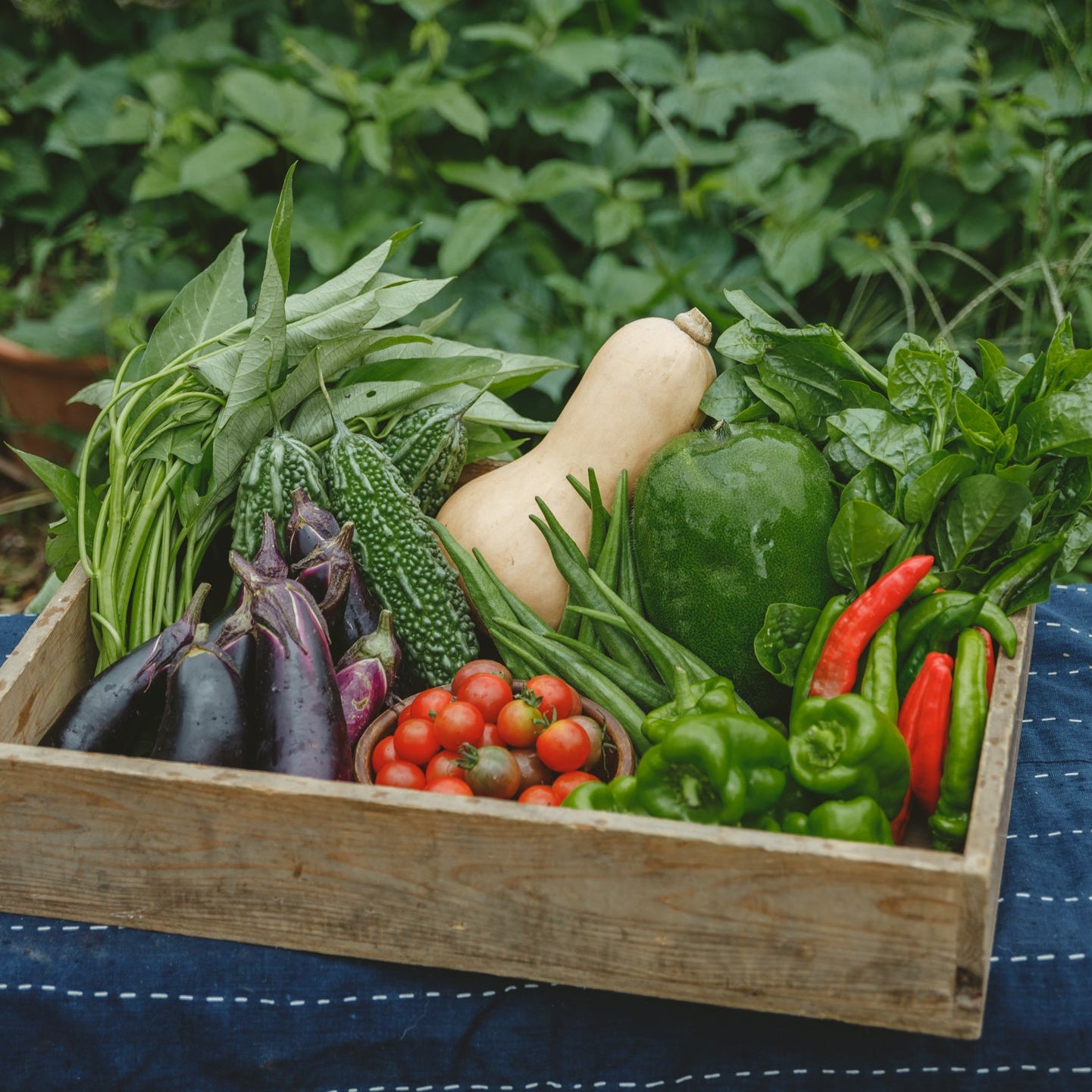 雨土人オーガニック有機自然農法野菜セット無農薬無化学肥料ギフトカードブーケ父の日母の日結婚祝い出産祝い誕生日福利厚生米ササシグレ平飼い卵有精卵有機米Organic vegetable deliver direct to table organic flower bouquet natural farming non GMO non pesticide non chemical plastic free recipe farm fresh organic farm organic rice free range egg